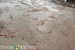 В пензенском селе рассказали об отсутствии дорог и «заплывах по грязи»