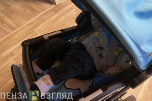 Пензенским мамам пояснили, почему запрещено гулять на территории школ с колясками