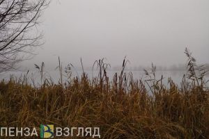 Пензенские поисковики сообщили о завершении поисков 43-летнего мужчины