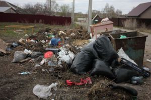 Лукичев обеспокоен состоянием некоторых контейнерных площадок в Заре