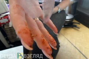 В Пензенской области мужчина хотел убить ледоколом загулявшую жену
