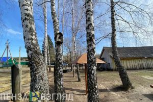 В субботу в Пензенской области будет тепло, но ветрено