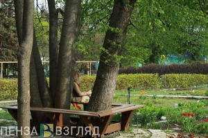 В воскресенье в Пензенской области ожидается +27 градусов