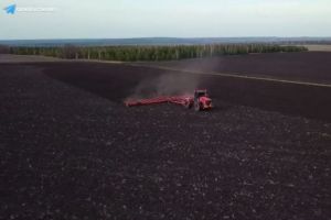 В Пензенской области засеют более миллиона гектаров пашни