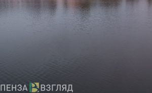 В Пензе спасатели получили сообщение о спрыгнувшем с моста человеке