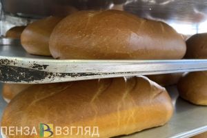 Пензенцам сообщили, ждать ли падения или повышения цен на хлеб