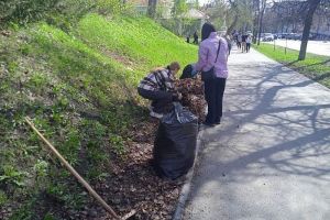 В Пензенской области назвали дату очередного регионального субботника