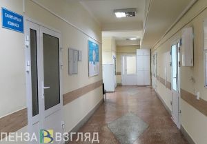 В Пензенской области выявлено более 1900 случаев ОРВИ и гриппа за неделю