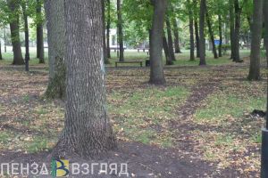 Минлесхоз разберется в обстоятельствах гибели птиц в Детском парке в Пензе