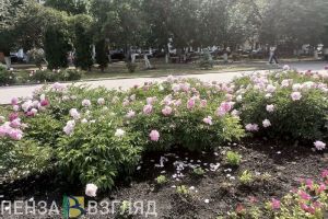 27 апреля Пензенская область присоединится к общероссийскому субботнику