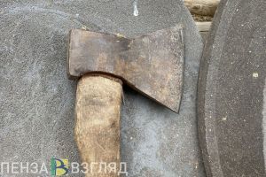 Пенсионер из Колышлейского района накинулся с топором на зятя
