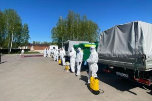 В Кузнецком районе ликвидировали «очаг высокопатогенного гриппа птиц»