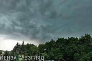 В пятницу жителей Пензенской области ждут дожди и ветер