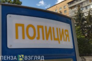 Пензенская полиция проведет проверку из-за сообщения о мертвых птенцах