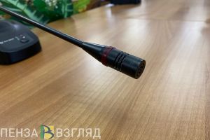 На сессии Гордумы депутаты выбрали название для пензенской улицы