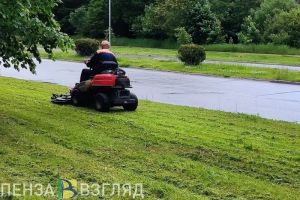 Пензенские депутаты попросили не выкашивать траву в городе «под ноль»