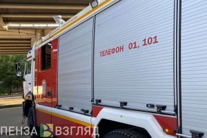 В Пензенской области утвердили порядок тушения природных пожаров