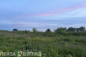 В Пензе принимают меры по обеспечению пожарной безопасности в весенне-летний период
