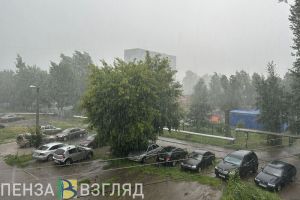 29 апреля в Пензенской области ожидается 18 градусов тепла и дождь