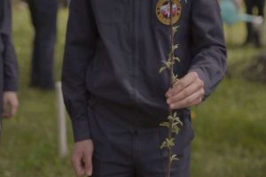 Мельниченко сообщил о планах высадить 41 тысячу деревьев в Пензенской области
