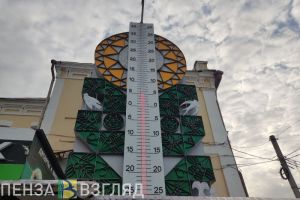 2 мая температура воздуха в Пензенской области упадет до +2 по Цельсию