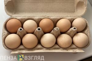 Жителям Пензенской области назвали оптимальное количество съеденных за день яиц