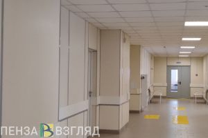 В Пензе за неделю выявлен 801 случай заболеваемости РВИ