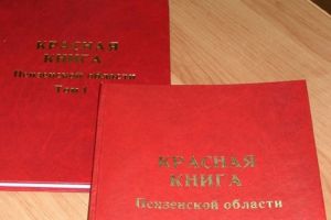 Первый том Красной книги Пензенской области переиздадут в июне 2024 года
