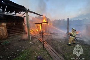 Названа причина ночного пожара в Никольском районе