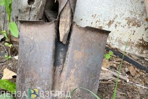 Желиховский, Сучков и Петрухин высадили «Сирень Победы»