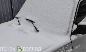 В Пензенской области может выпасть снег: Тишковец сделал прогноз на 3 мая