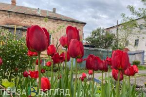 На выходных пензенцев ожидает испытание ненастной погодой