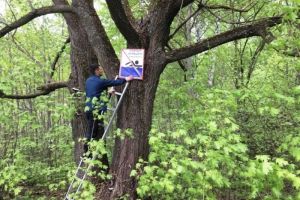 В Пензе размещают предупреждающие знаки «Купание запрещено»