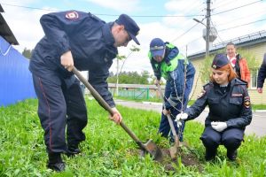 В Пензе высадили саженцы в память о земляках, погибших в ВОВ