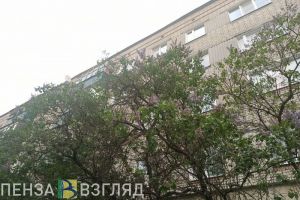 Пензенская область угодила в зону заморозков