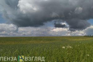 В начале «майских» Пенза останется в холодном воздухе с акватории северных морей