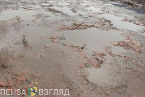 В Вадинске к матери с тремя детьми не смогла проехать скорая