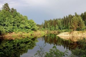 92 пензенских территории имеют региональный статус особо охраняемых