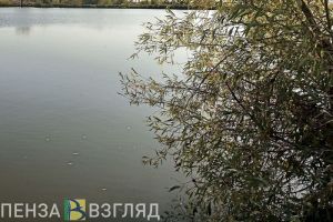 Пензенцам рассказали, как продвигается очистка пруда у больницы №6