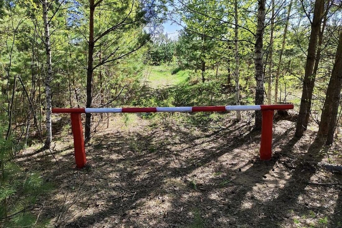 В пензенских лесах продолжаются противопожарные профилактические мероприятия