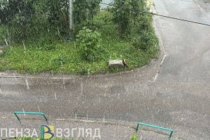 9 мая пензенцев ждет снег, дождь и мощные порывы ветра