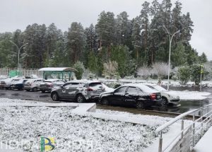 Снег в Пензе, Заречном и Сердобске 9 мая: жителя делятся видео