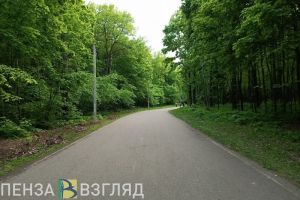 В Пензе Олимпийскую аллею готовят к обработке от клещей