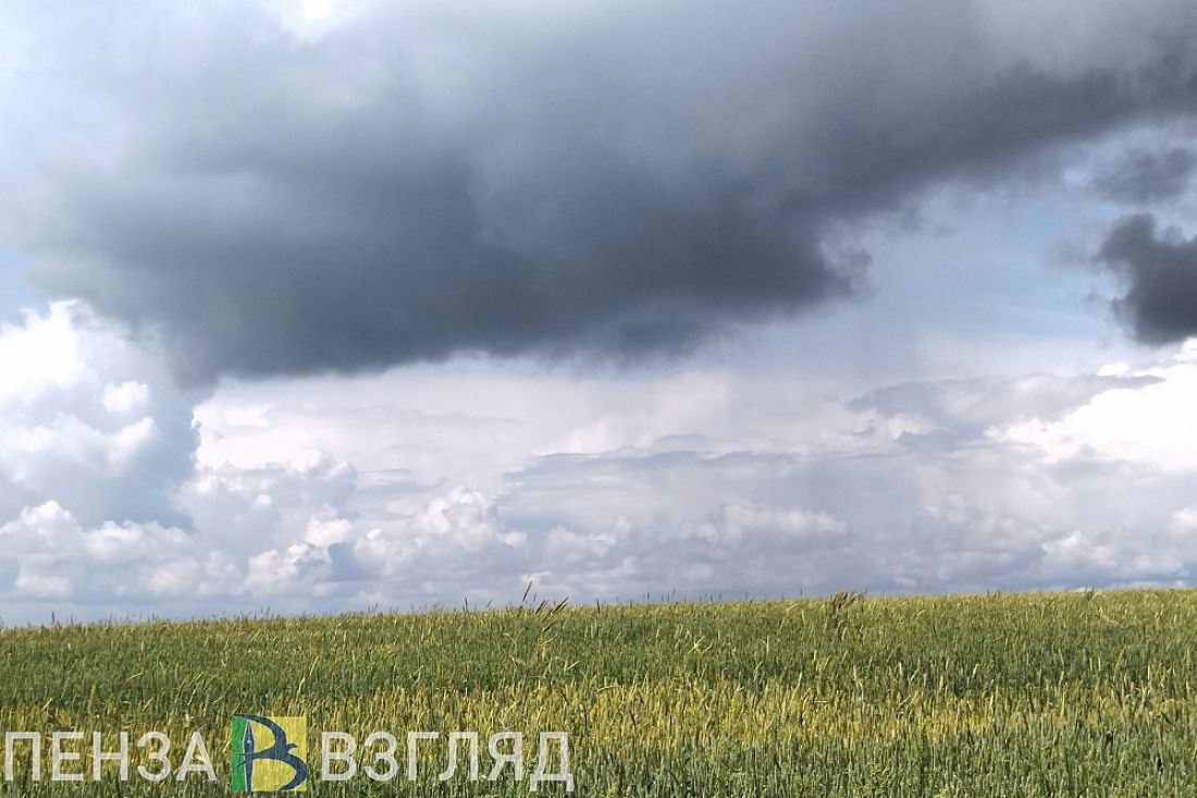 В пензенской Заре из грузовика на легковушку упали блоки