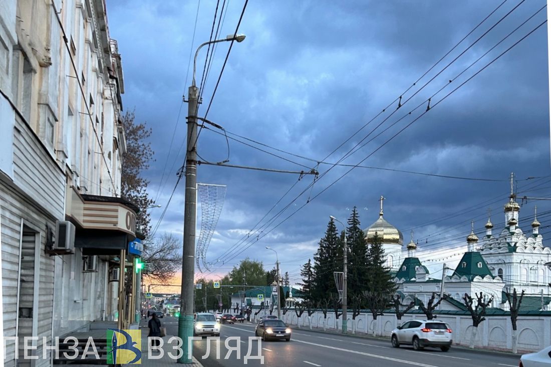 В Пензенской области первый клещ присосался к ребенку