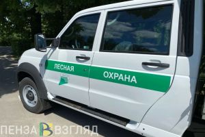 В Пензенской области установили сроки тушения природных пожаров