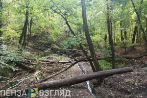 В Пензенской области введут плату за посещение заповедников и заказников