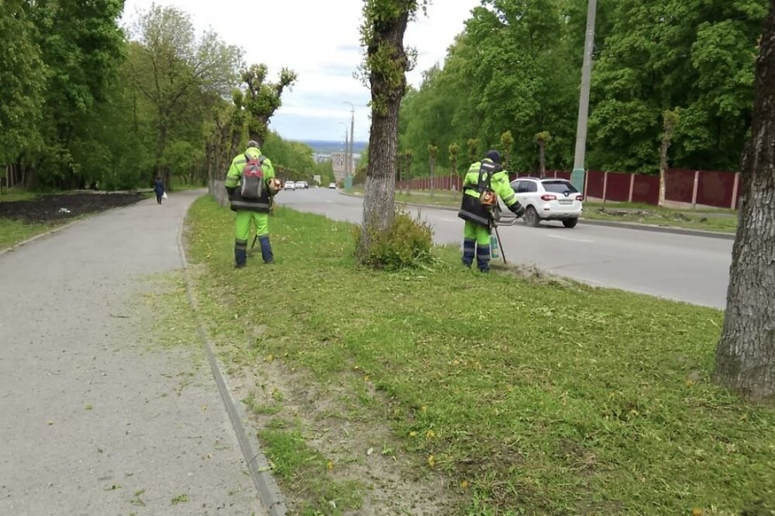 Пензенцев просят с пониманием отнестись к шуму от работ по покосу травы