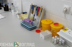 В Пензенской области за неделю от ковида скончались два человека