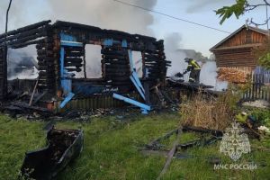 Два человека погибли за ночь при пожарах в Пензенской области